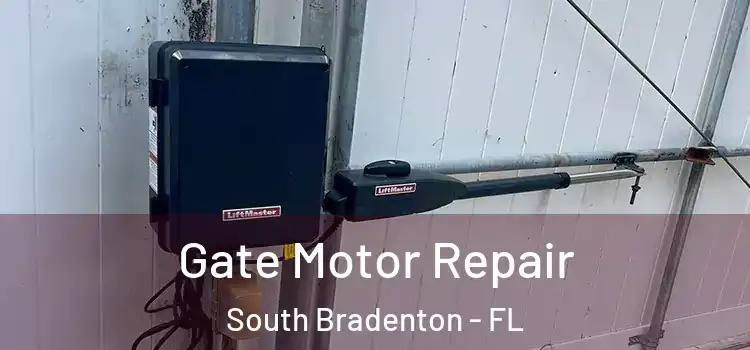 Gate Motor Repair South Bradenton - FL